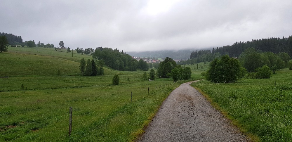 Cesta Kvilda - pramen Vltavy